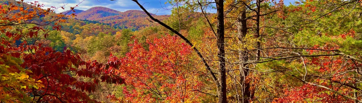 Vibrant autumn forest and mountains in Blairsville, GA, the serene setting where Benita attended intensive retreats.