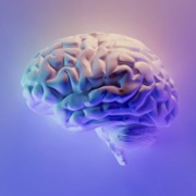 Brain milad-fakurian-58Z17lnVS4U-unsplash CRP