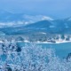 Snow-covered Blue Ridge Mountains and branches overlooking Lake Chatuge, the venue for Ellen's HSP Retreat.