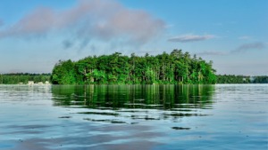 A serene, densely forested green island sitting in the calm, reflective blue waters of Lake Lanier under a bright blue sky with soft, low clouds.