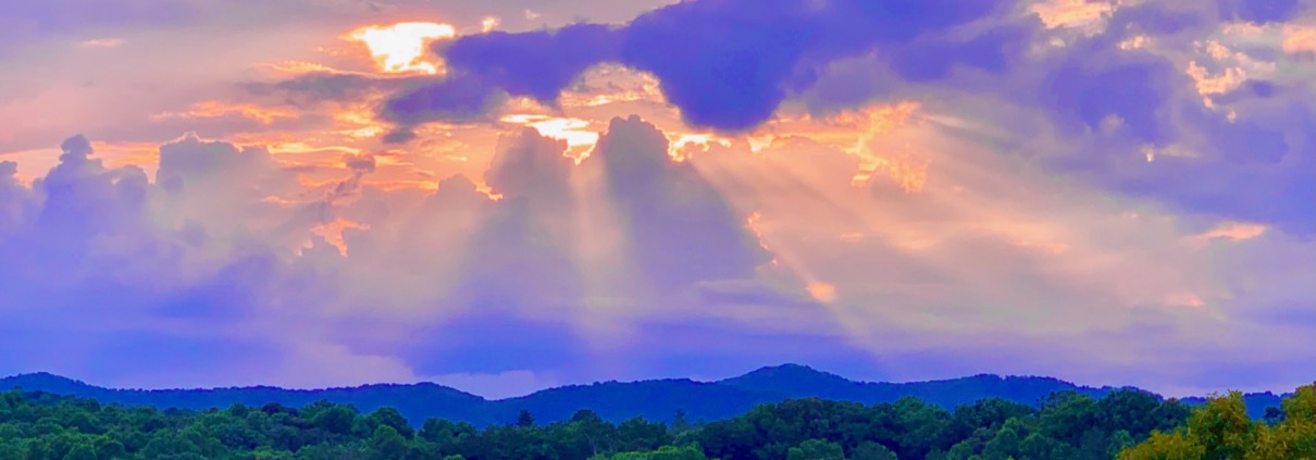 Panoramic forest canopy at sunset with dramatic sunbeams bursting through the clouds, capturing the restorative peace of a Highly Sensitive Person (HSP) Breathwork Retreat with Benita A. Esposito, Licensed Professional Counselor (LPC)