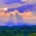 Panoramic forest canopy at sunset with dramatic sunbeams bursting through the clouds, capturing the restorative peace of a Highly Sensitive Person (HSP) Breathwork Retreat with Benita A. Esposito, Licensed Professional Counselor (LPC)