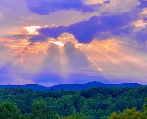 Panoramic forest canopy at sunset with dramatic sunbeams bursting through the clouds, capturing the restorative peace of a Highly Sensitive Person (HSP) Breathwork Retreat with Benita A. Esposito, Licensed Professional Counselor (LPC)