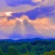 Panoramic forest canopy at sunset with dramatic sunbeams bursting through the clouds, capturing the restorative peace of a Highly Sensitive Person (HSP) Breathwork Retreat with Benita A. Esposito, Licensed Professional Counselor (LPC)
