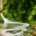 A small, rushing waterfall flowing into a calm forest pool surrounded by lush green moss, ferns, and scattered yellow autumn leaves.