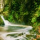 A small, rushing waterfall flowing into a calm forest pool surrounded by lush green moss, ferns, and scattered yellow autumn leaves.