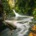 A small, rushing waterfall flowing into a calm forest pool surrounded by lush green moss, ferns, and scattered yellow autumn leaves.
