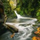 A small, rushing waterfall flowing into a calm forest pool surrounded by lush green moss, ferns, and scattered yellow autumn leaves.